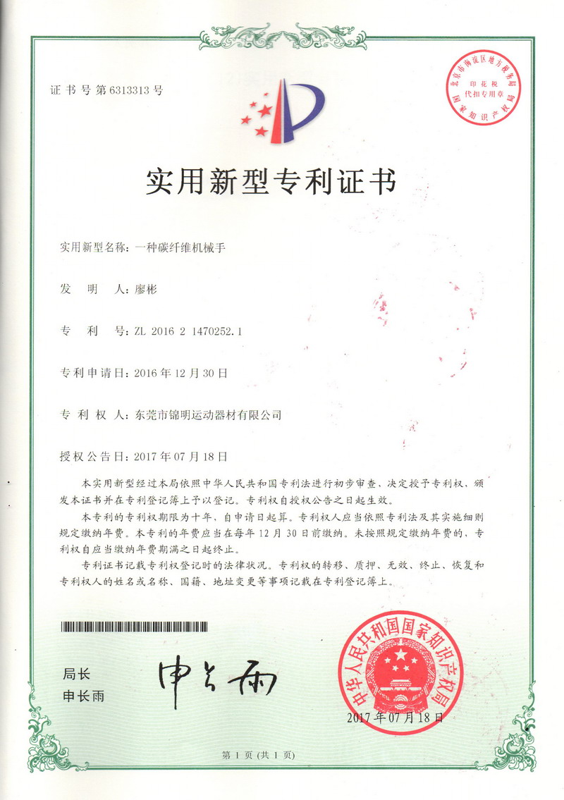 Patent Certificate 09