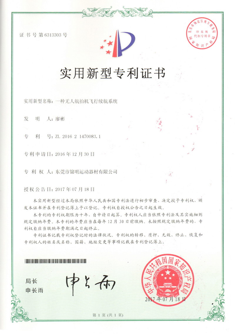 Patent Certificate 10