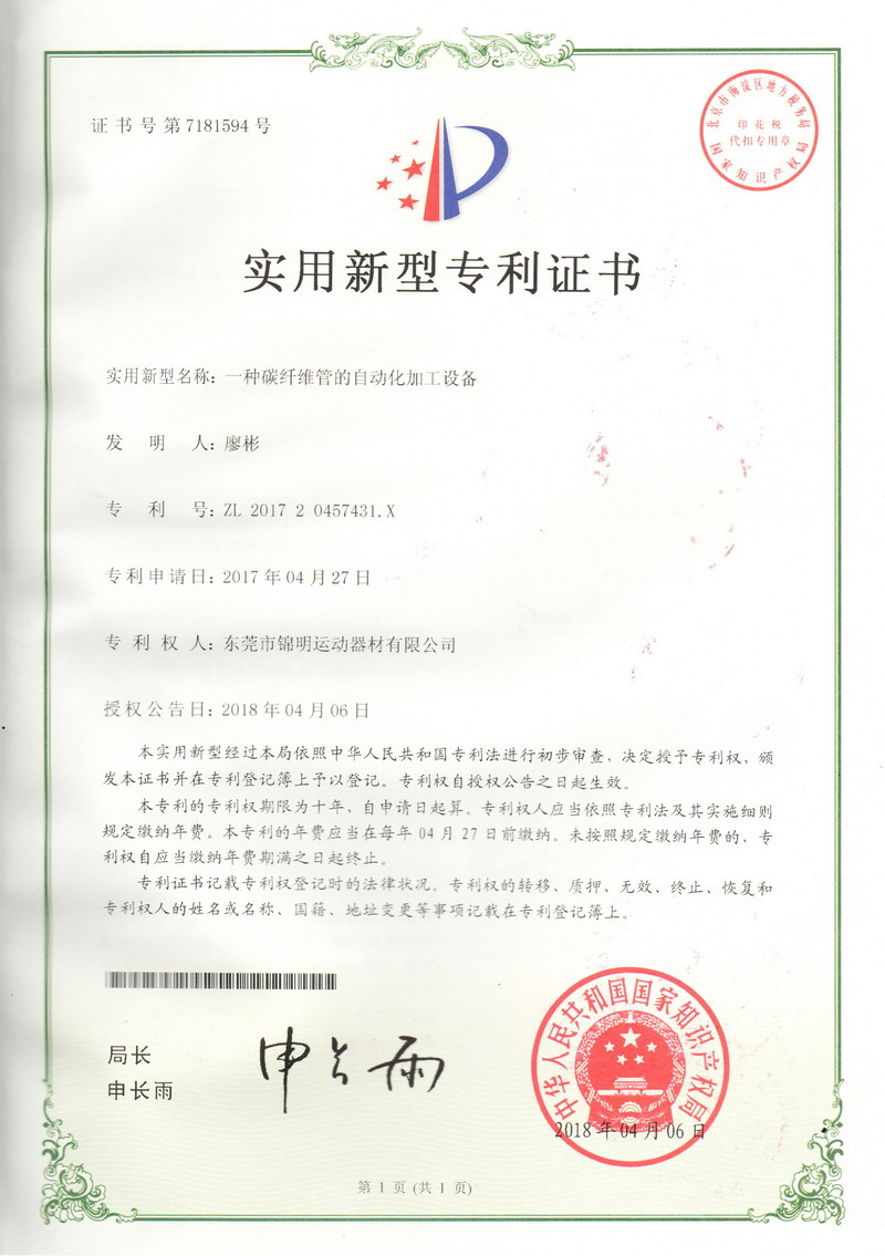 Patent Certificate 12